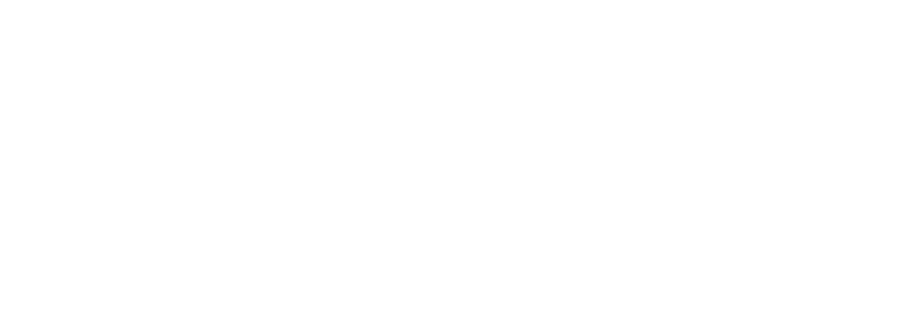 Logo MS Ternitz
